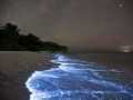 Mar brilhante nas Maldivas - Fotos  Doug Perrine