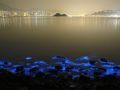 Mar brilhante em Hong Kong - Fotos  Kin Cheung/AP