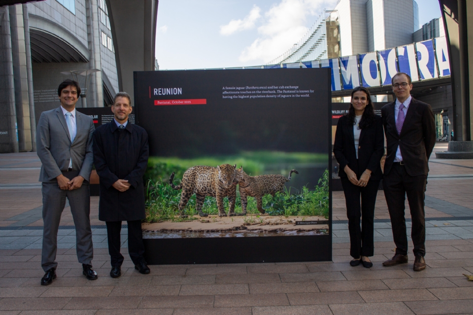 'Pantanal: nossa herana e nosso legado': exposio leva registros pantaneiros para o Parlamento Europeu